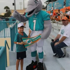 Miami Dolphins - NFL